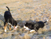 Ulla and Lutte are playning - 2004