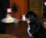Ulla fejre sin 1 år fødselsdag - Februar 2004